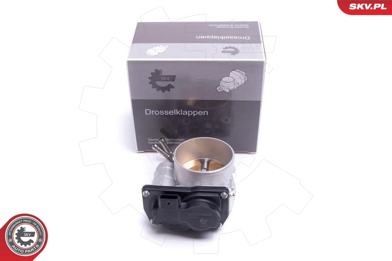 Throttle Body